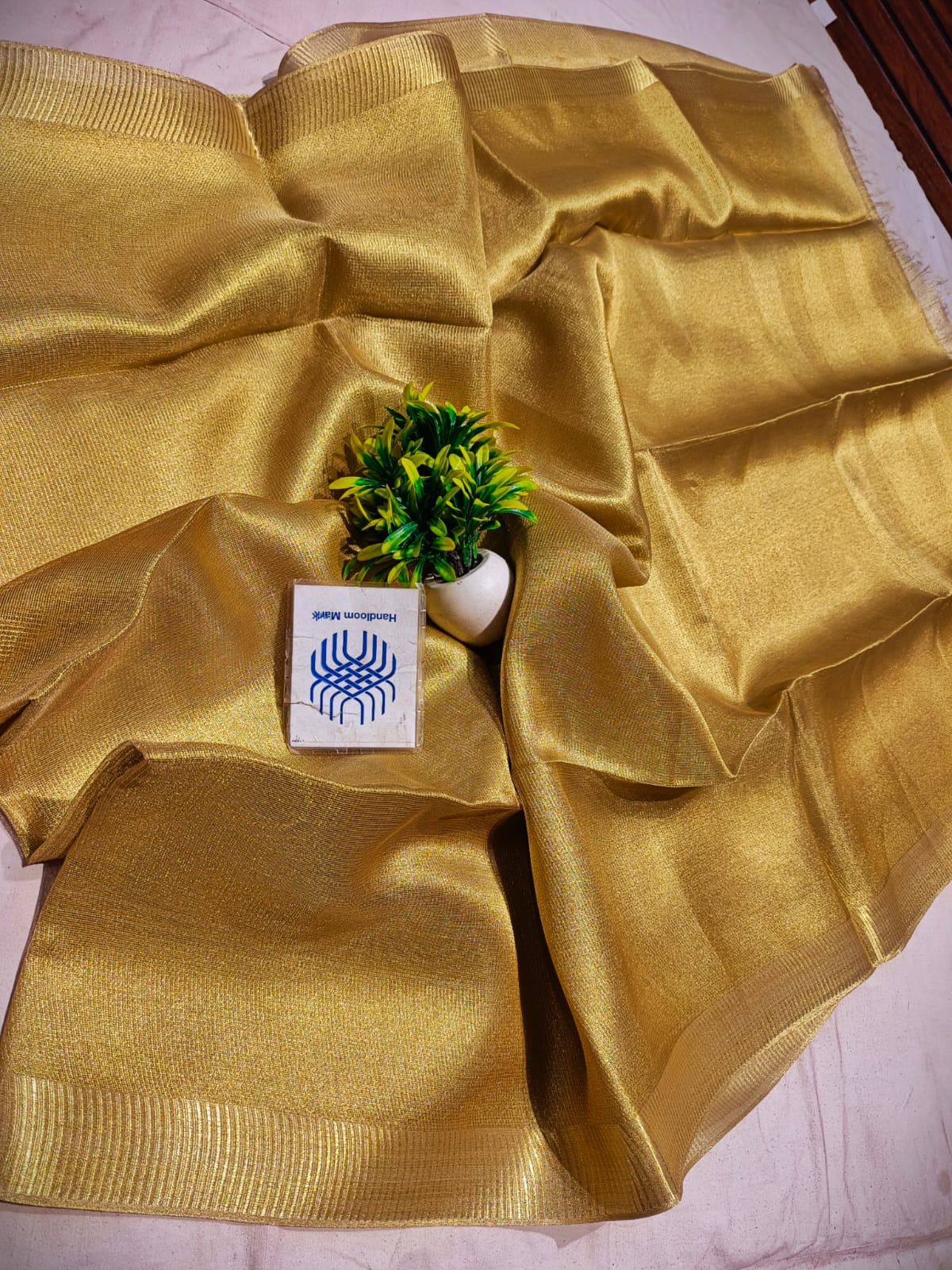 Stylish Plain Flora Tissue Tussar Saree