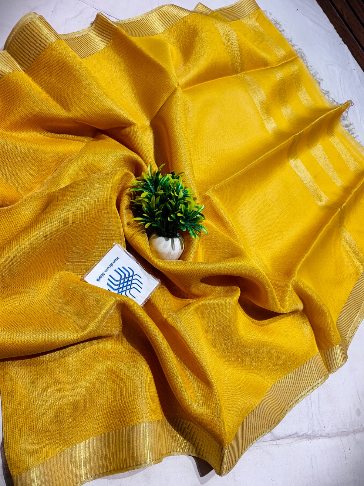Stylish Plain Flora Tissue Tussar Saree