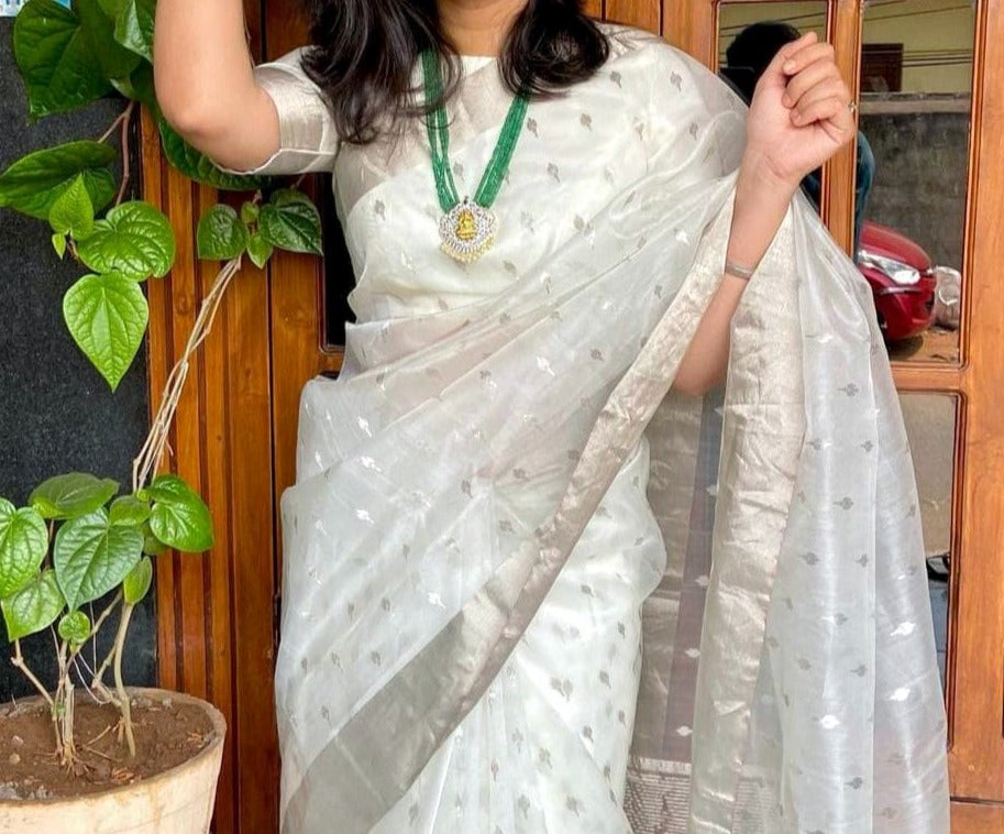 Authentic Handloom Chanderi Pattu Silk Saree With Silver Thread Motif