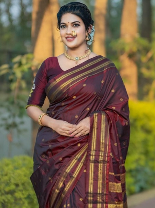 Narayanpeth Sarees