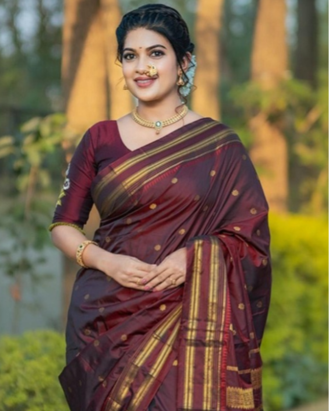 Narayan Peth Paithani Silk Saree
