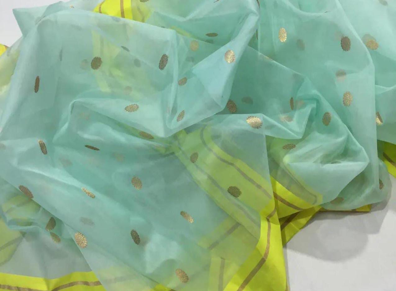 Pastel Green Authentic Chanderi Handloom Organza Silk Saree