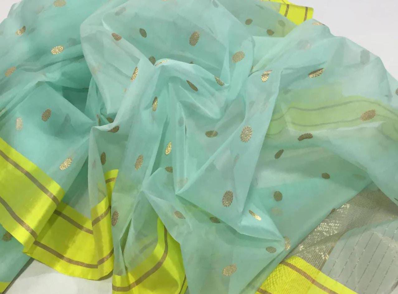 Pastel Green Authentic Chanderi Handloom Organza Silk Saree