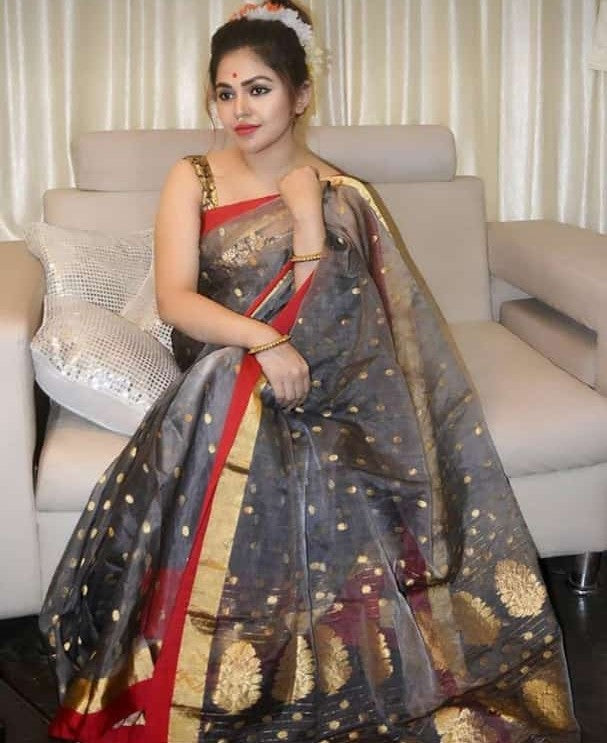Chanderi Handloom Handwoven Katan Organza Silk Saree