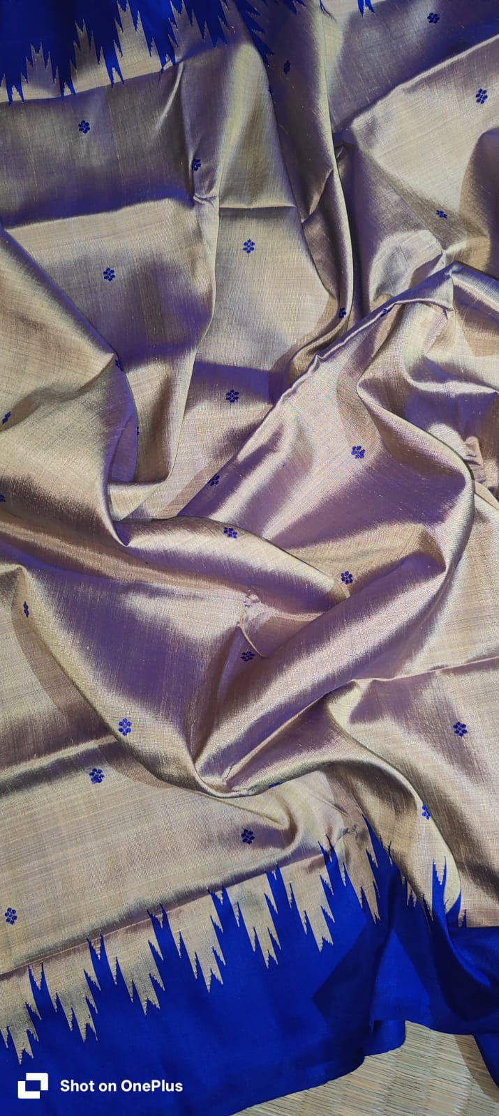 Gorgeous Metallic Grey Authentic Berhampuri Double Pallu Silk Saree with Heavy Thread Work Pallu and Contrast Blouse