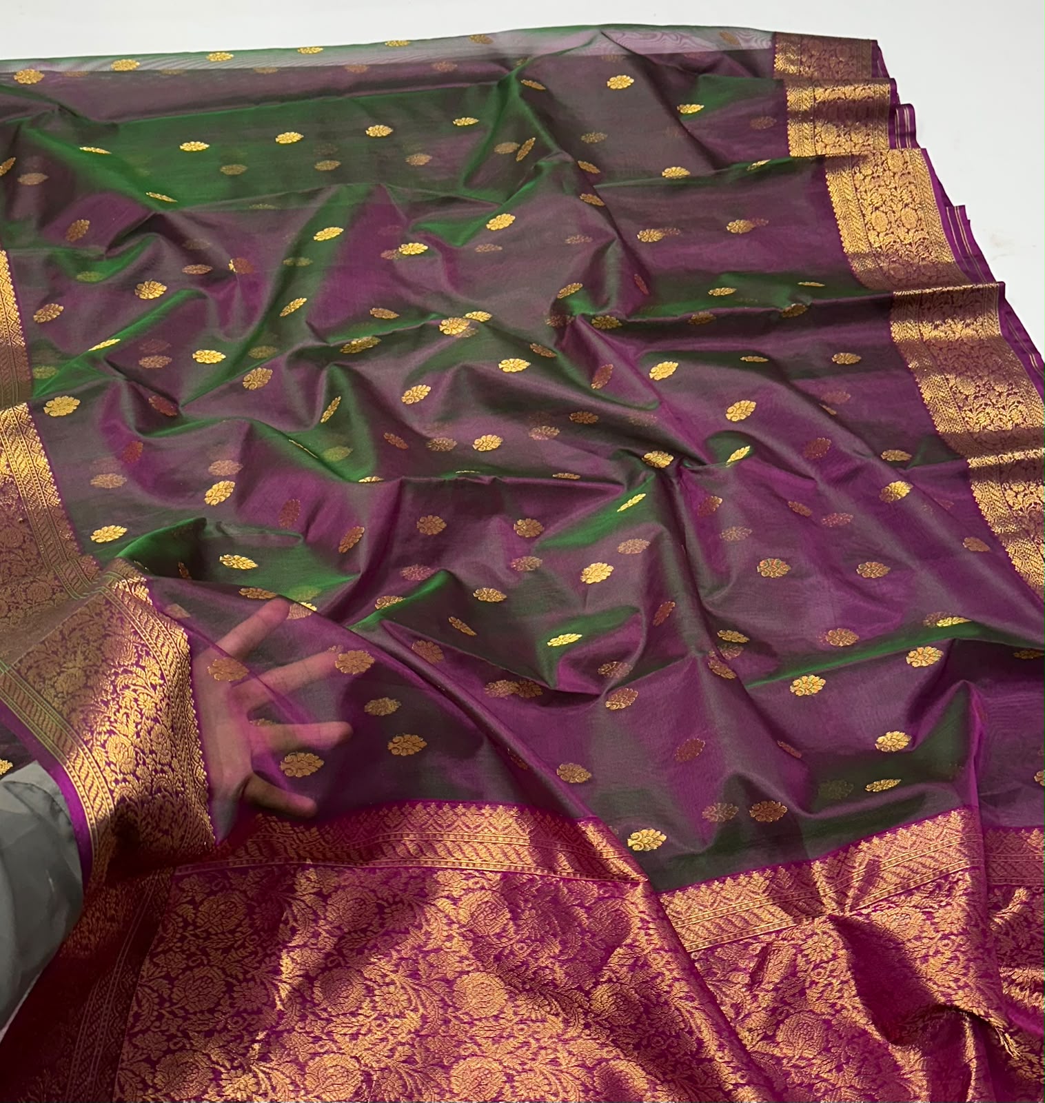 Authentic Chanderi Katan Silk Handloom Saree | Nakshi Border | Dual Shade
