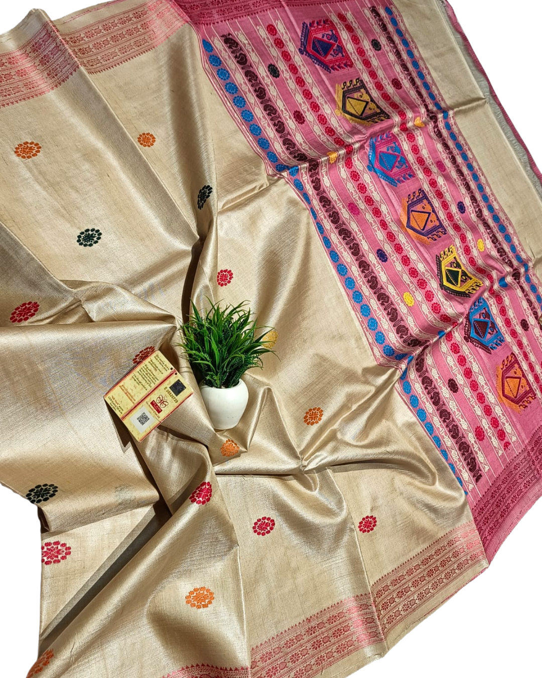 Pure Tussar Handloom Vidarbha Border Dolabedi Pallu Saree with Contrast Blouse