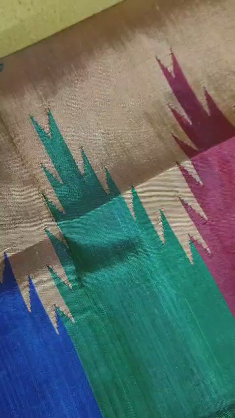 Exclusive Multicolour Phodakumbha Border Berhampuri Silk Saree